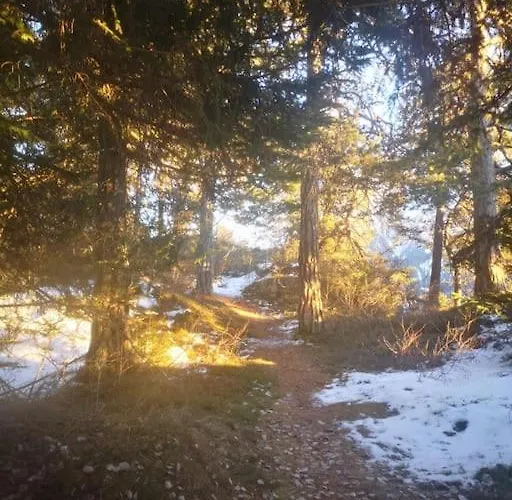 Lovely Family With Patio &fireplace &parking *